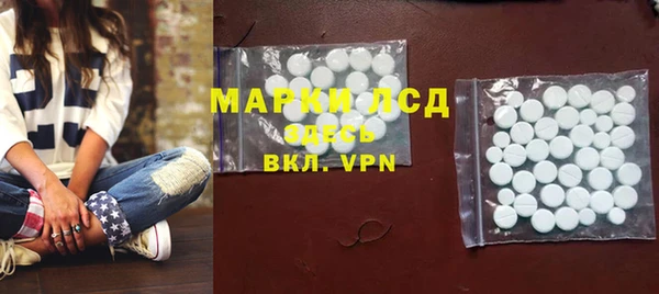 ГАЛЛЮЦИНОГЕННЫЕ ГРИБЫ Абаза