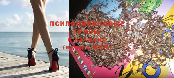гидропоника Абдулино