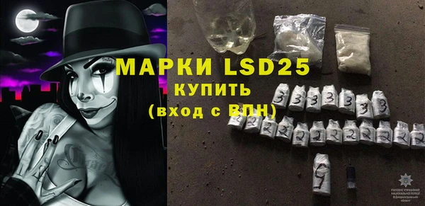ГАЛЛЮЦИНОГЕННЫЕ ГРИБЫ Абаза