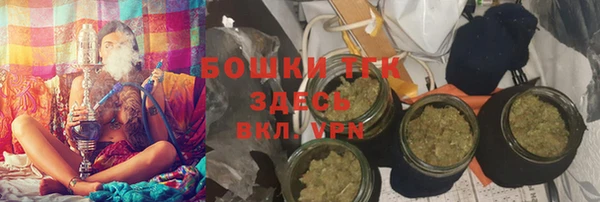 ГАЛЛЮЦИНОГЕННЫЕ ГРИБЫ Абаза