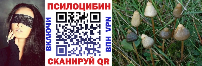 Галлюциногенные грибы Psilocybe  blacksprut маркетплейс  Собинка  наркота 